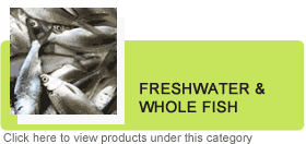 Fresh Water Fish (Whole Fish)