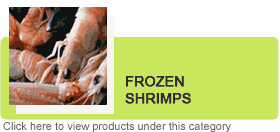 Shrimps & Frozen Shrimps