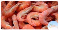 PD Shrimps